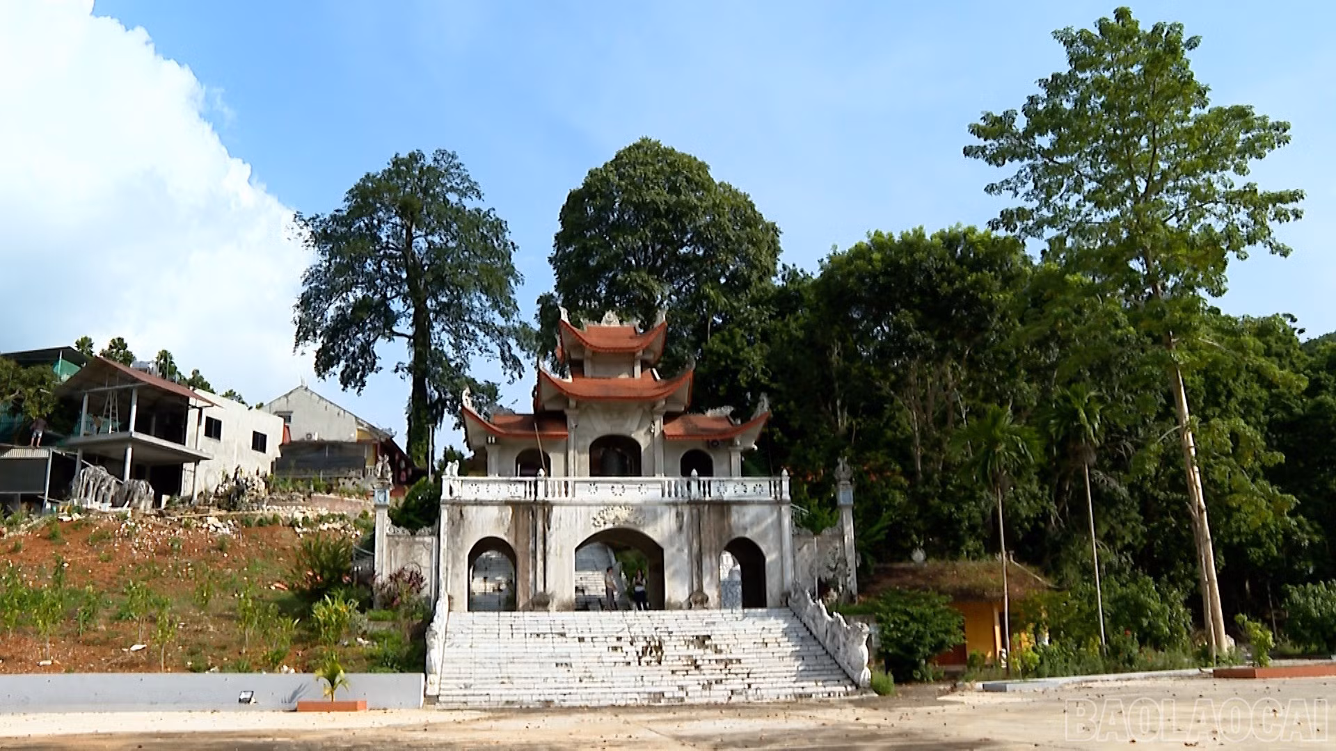 baolaocai-br_2.jpg