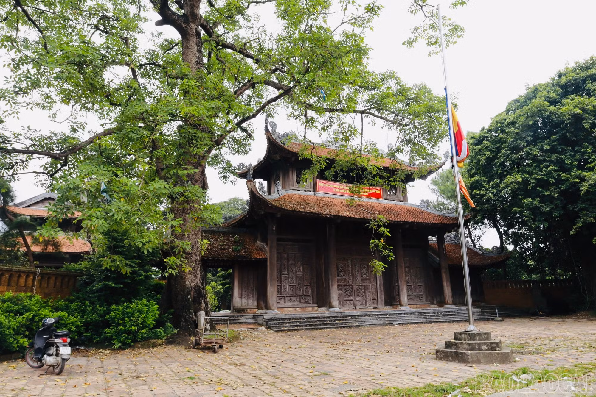 baolaocai-br_img-4545.jpg