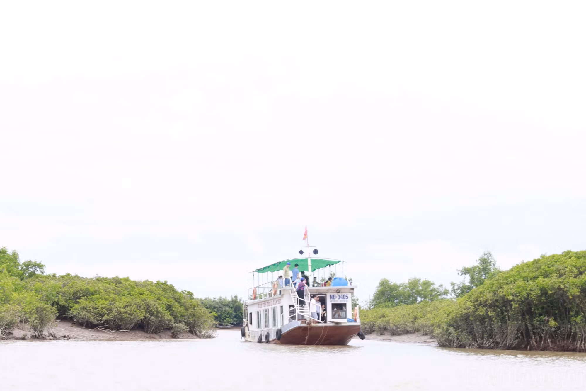 baolaocai-br_img-4486.jpg