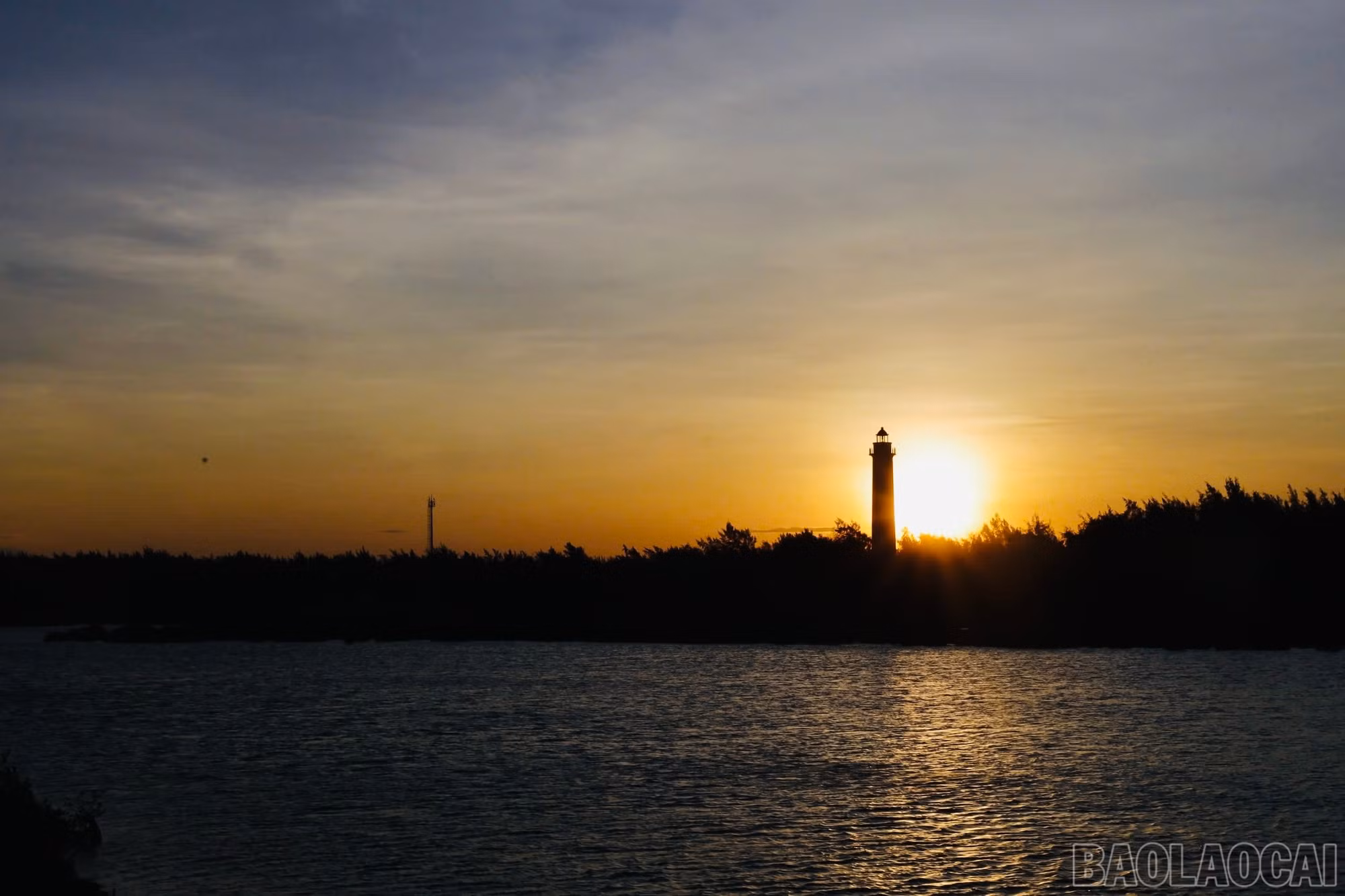 baolaocai-br_img-4490.jpg