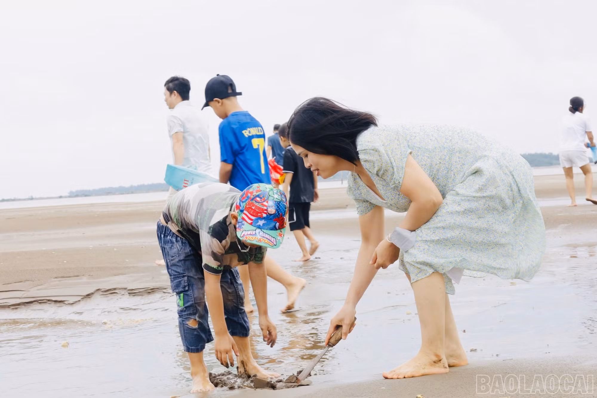 baolaocai-br_img-4497.jpg