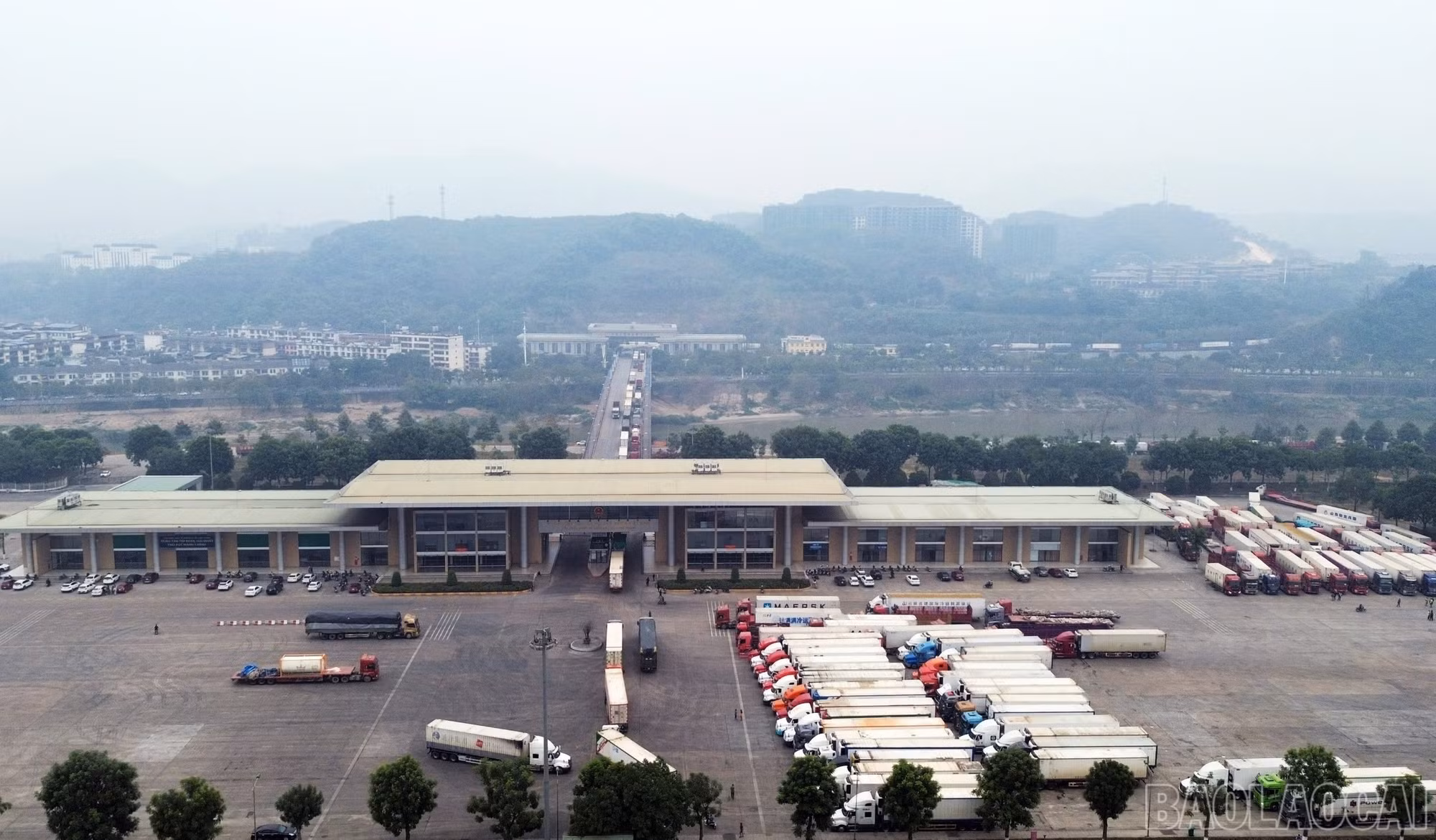 baolaocai-br_img-4175.jpg