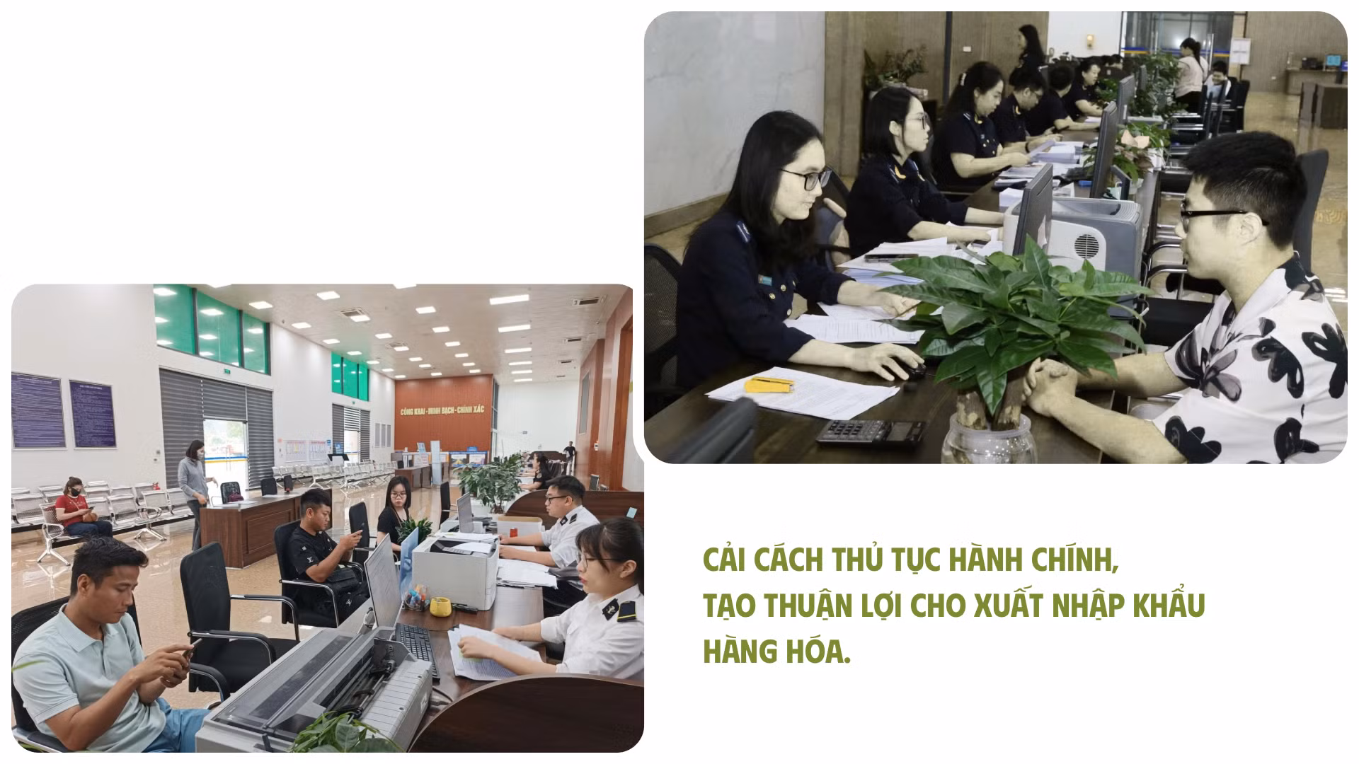 ban-sao-cua-co-hoi-vang-de-phat-trien-kinh-te-nong-nghiep.png