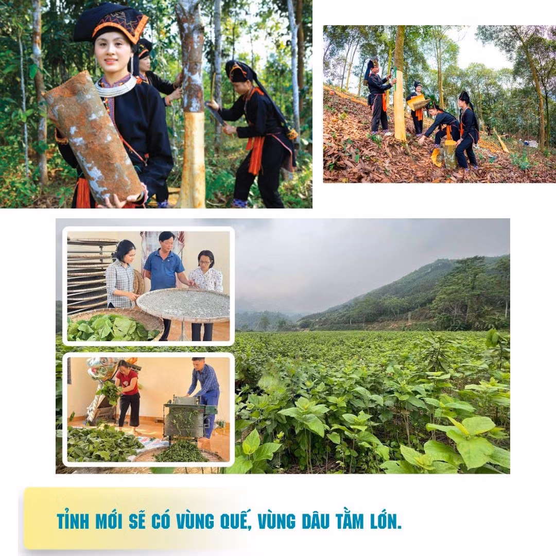 yen-bai-va-lao-cai-la-vung-dat-lien-ke-ve-dia-lyzip-16.jpg