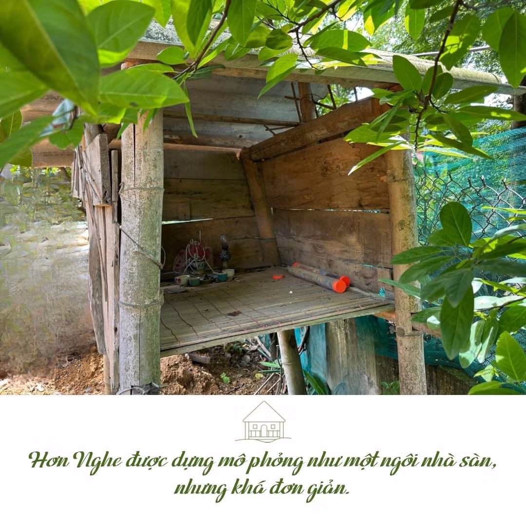 “Hơn nghe” - 4.jpeg