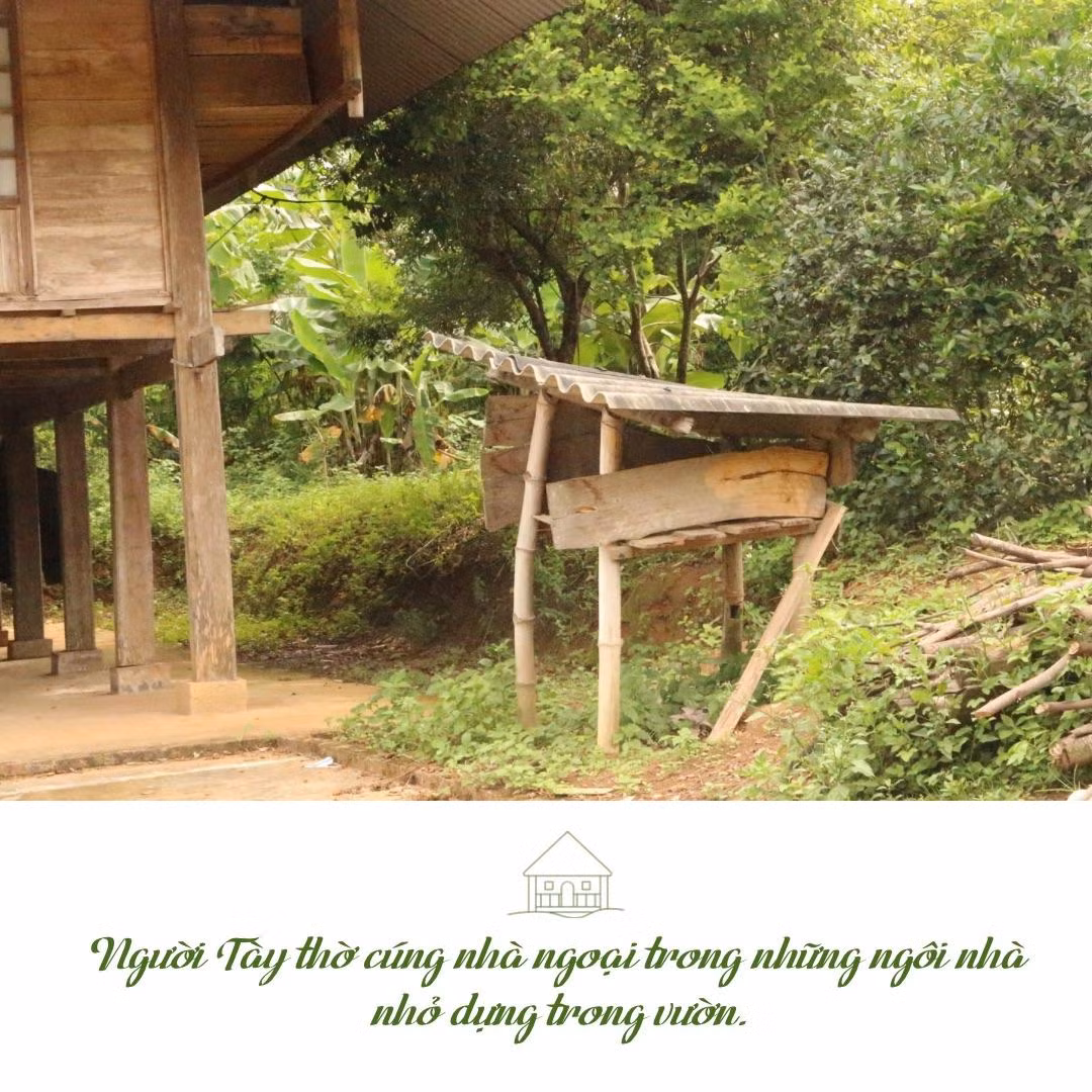 “Hơn nghe” - 2.jpeg