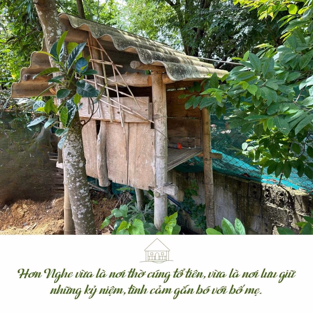 “Hơn nghe” - 5.jpeg