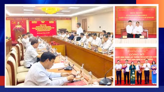 Điểm tin trong tuần từ ngày 9 - 15/6