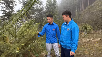 Thanh niên vùng cao dám nghĩ, dám làm