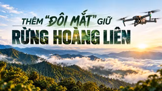 Thêm “đôi mắt” giữ rừng Hoàng Liên