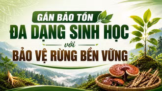 Gắn bảo tồn đa dạng sinh học với bảo vệ rừng bền vững