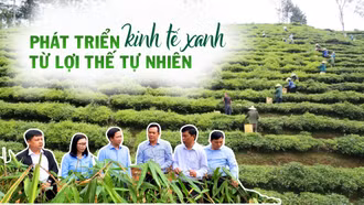 Phát triển kinh tế xanh từ lợi thế tự nhiên