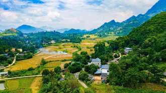 Khúc ca mùa gặt trên đồng xuân Bản Lầu