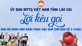 Địa chỉ tiếp nhận ủng hộ Nhân dân khắc phục hậu quả cơn bão số 3 (Yagi)