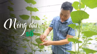 Nông dân số