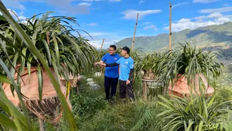 Thanh niên Sa Pa khởi nghiệp từ lợi thế nông nghiệp địa phương