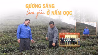 Gương sáng làm giàu ở Nấm Oọc