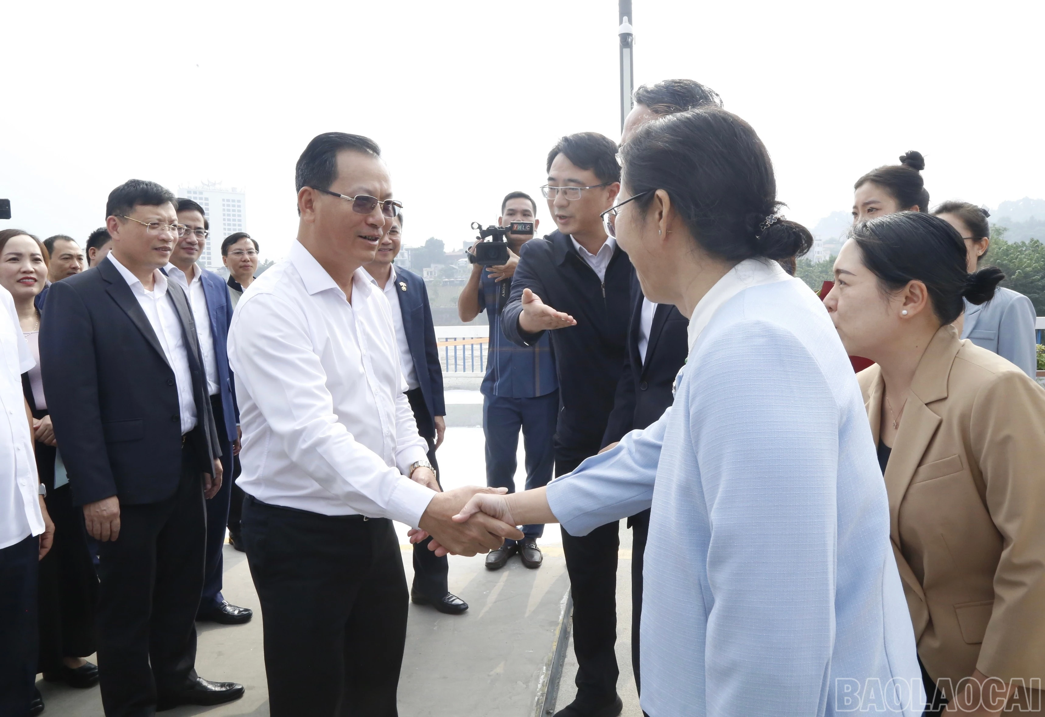 baolaocai-br_a3fe09de-eeeb-4717-9f9f-74e39aa7424e.jpg