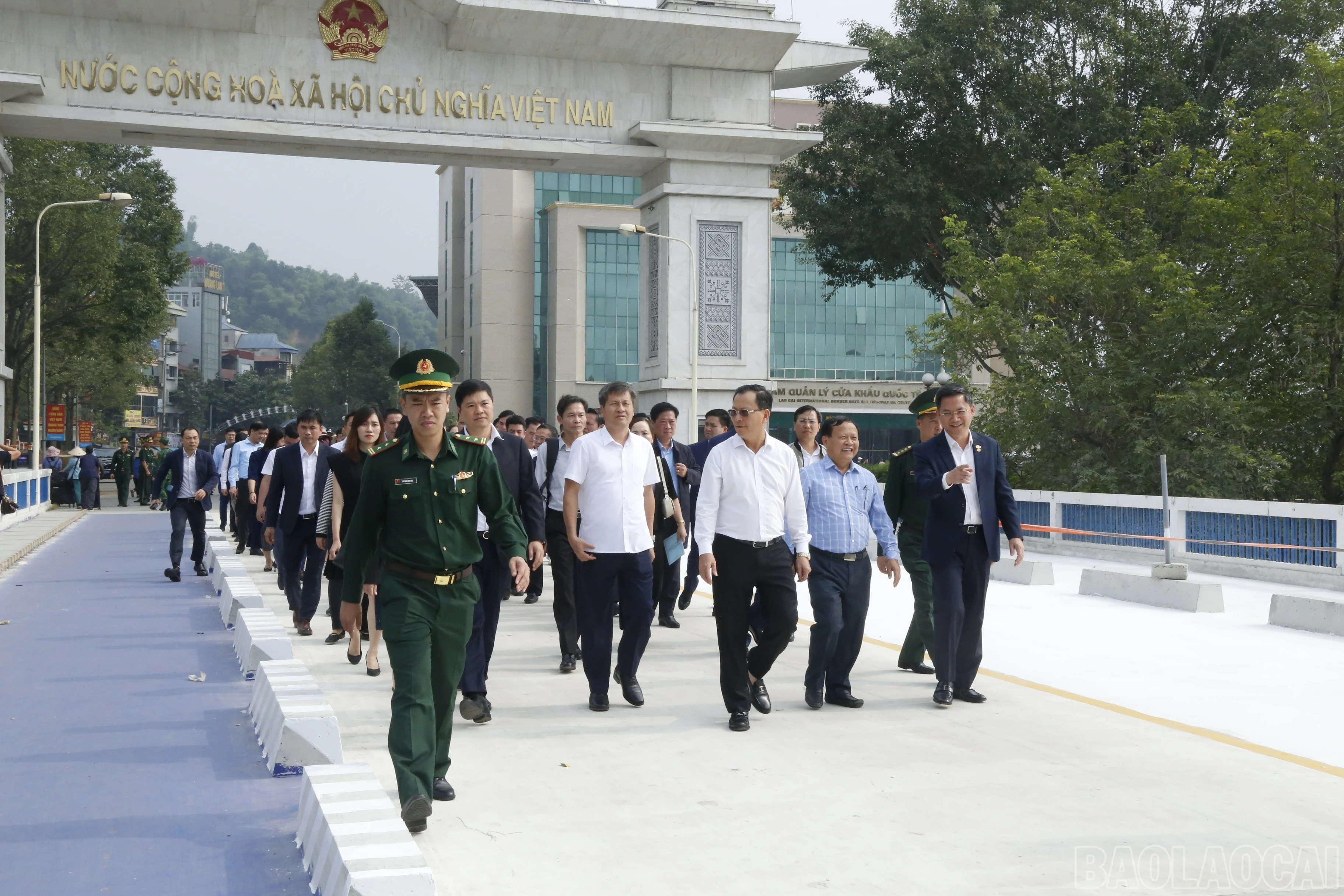 baolaocai-br_b7d63019-2274-406e-a4fa-79d111dee013.jpg
