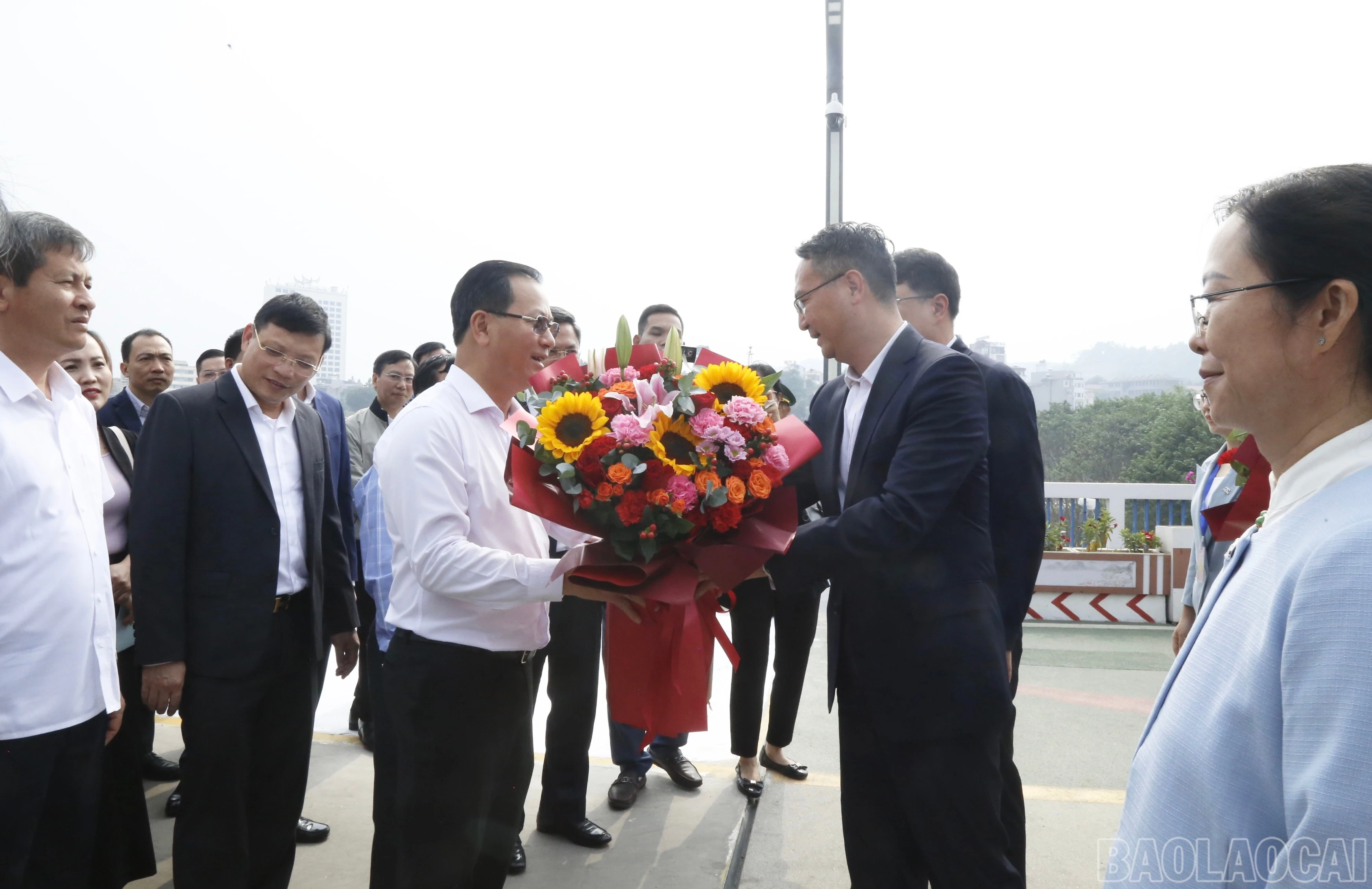 baolaocai-br_52c5822f-9dfa-4725-af25-8a70f457d274.jpg
