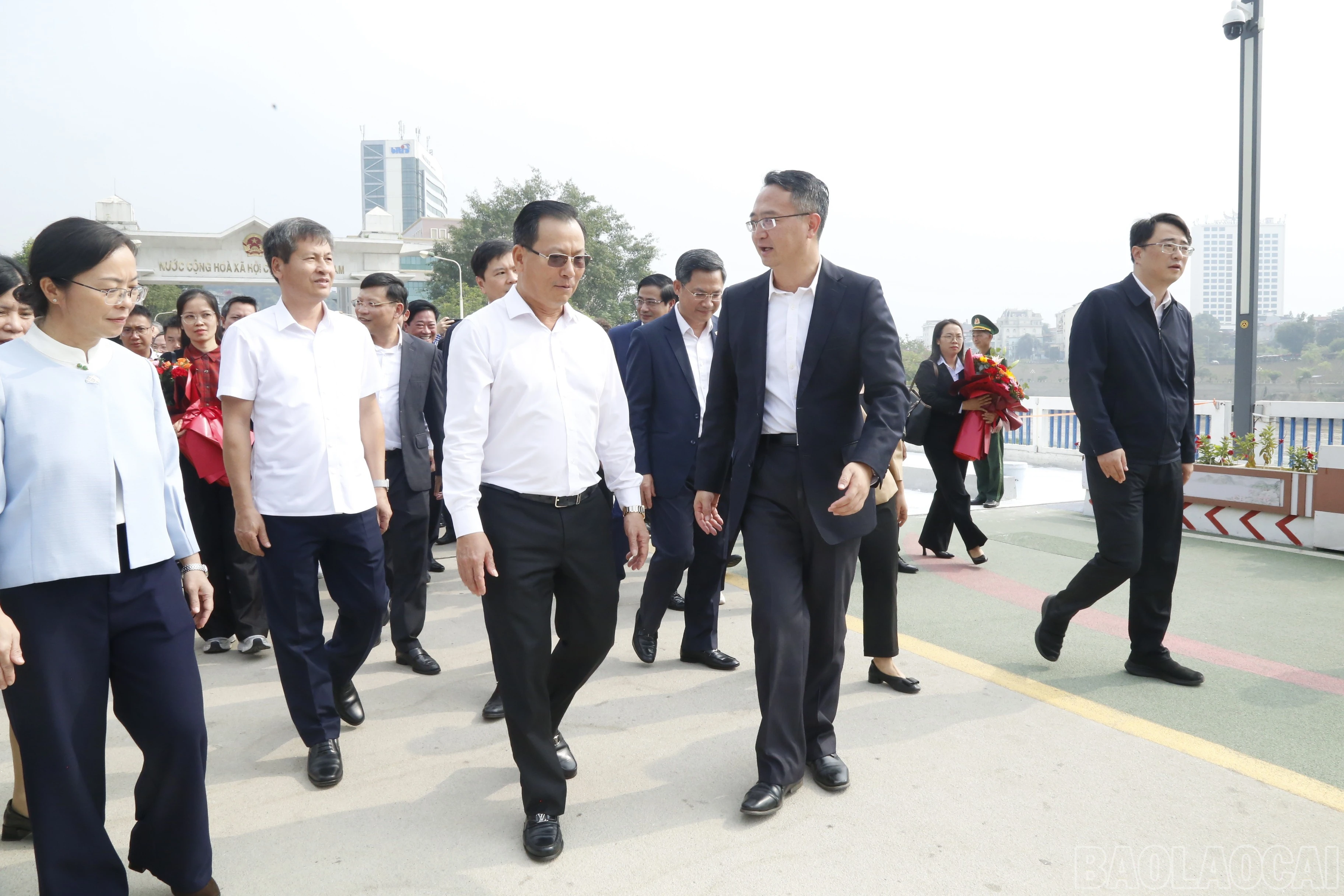baolaocai-br_7ca7ddb7-ec9e-4747-9dcc-f4cadca48799.jpg