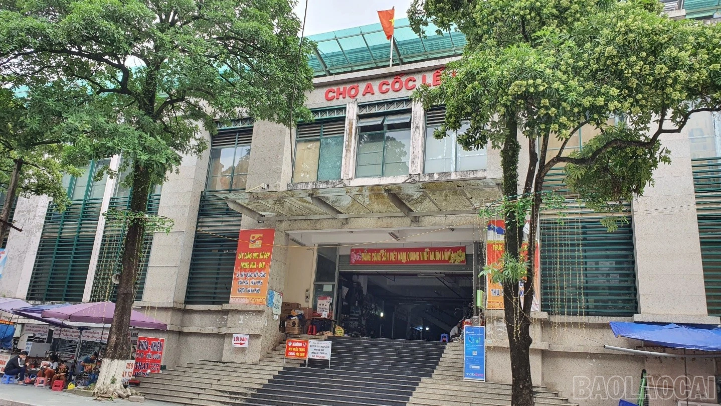baolaocai-br_04019004-da80-47c4-8b04-7b62c10a90d4.jpg