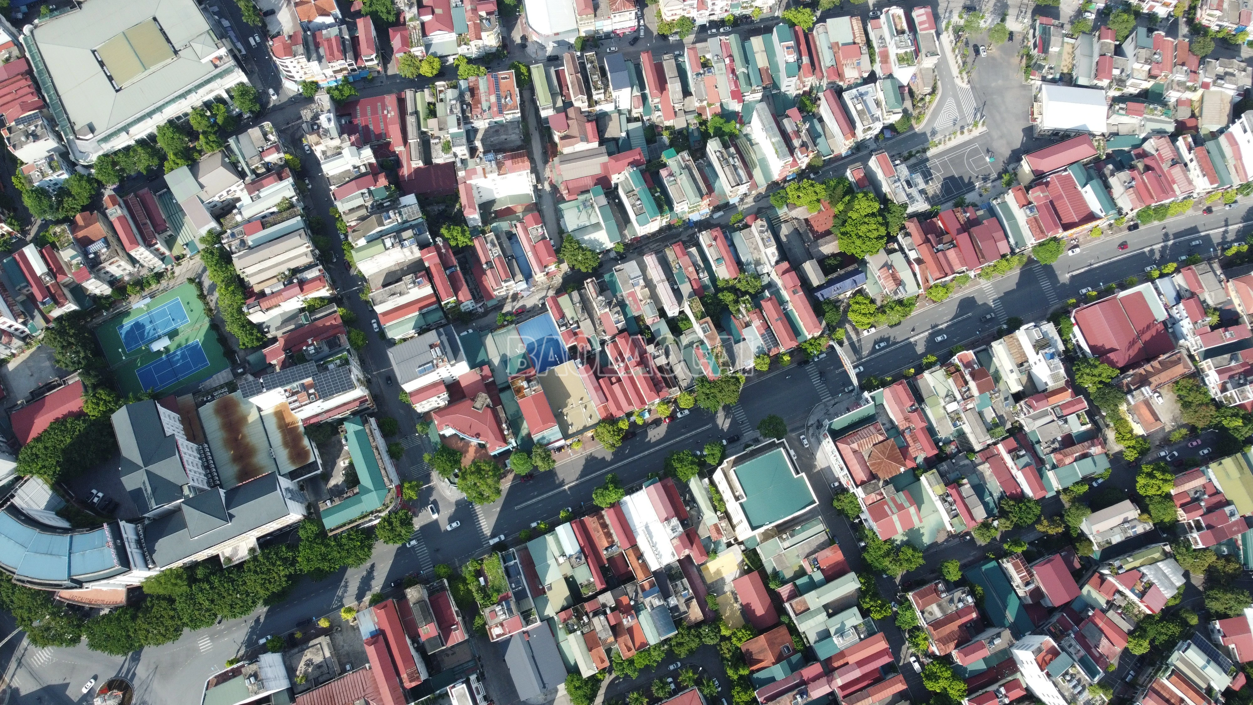 baolaocai-c_3a19124a-83c3-4d26-8e74-5b1aaf4ae841.jpg
