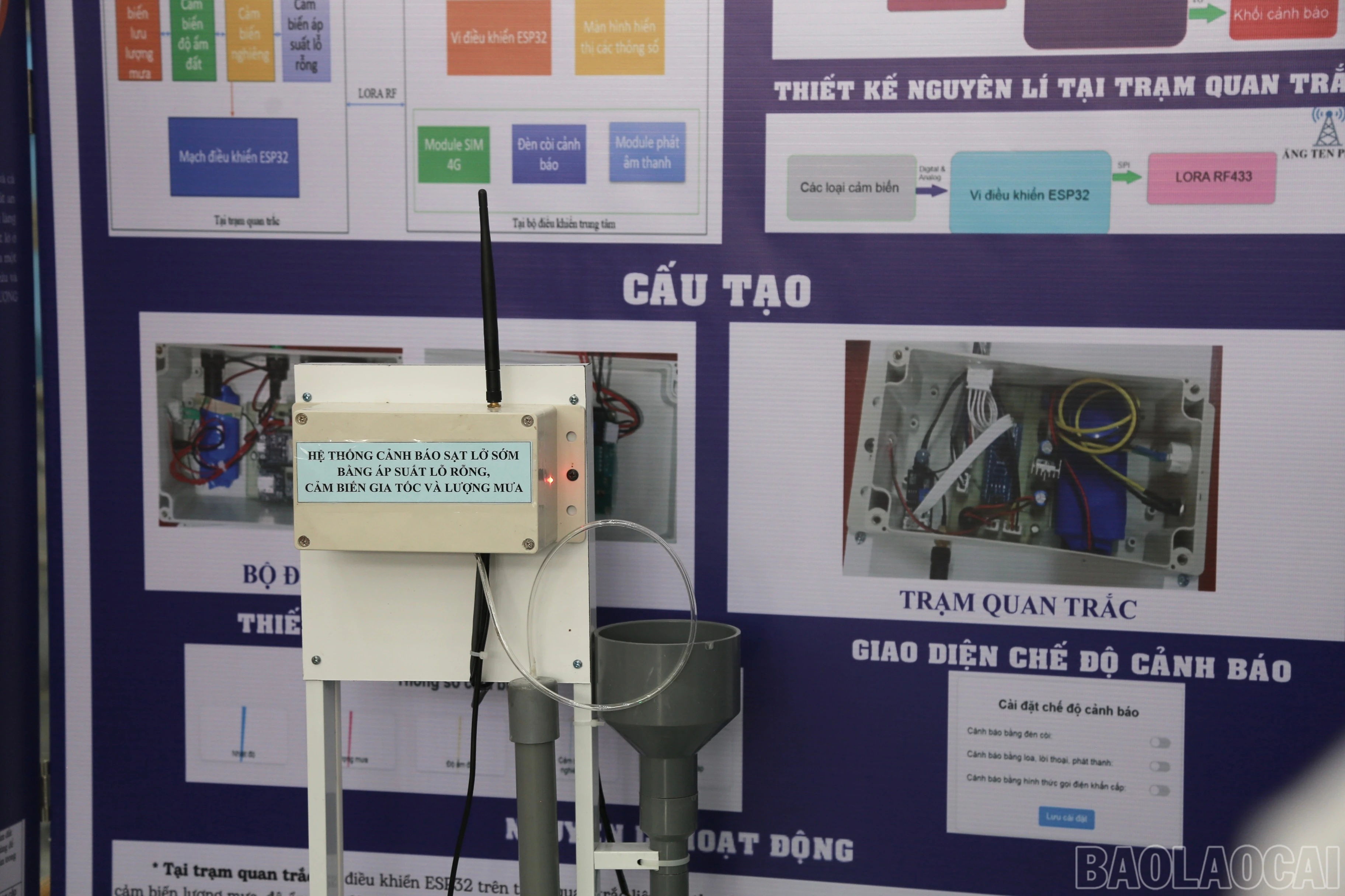 baolaocai-br_a264f726-8ddf-4262-8032-21179612ad9b.jpg