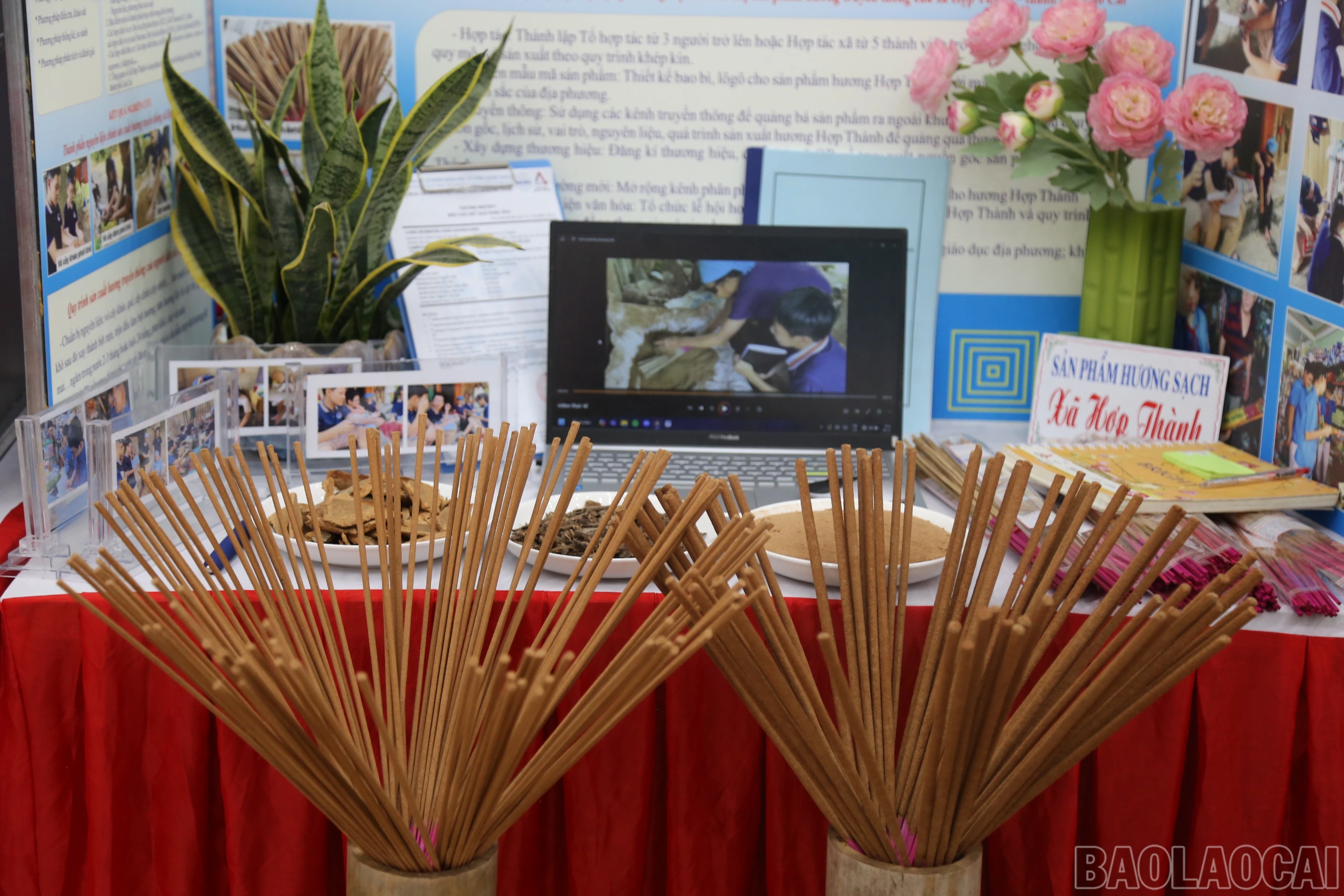 baolaocai-br_c506f648-9557-4620-9483-56fcae75b3c5.jpg