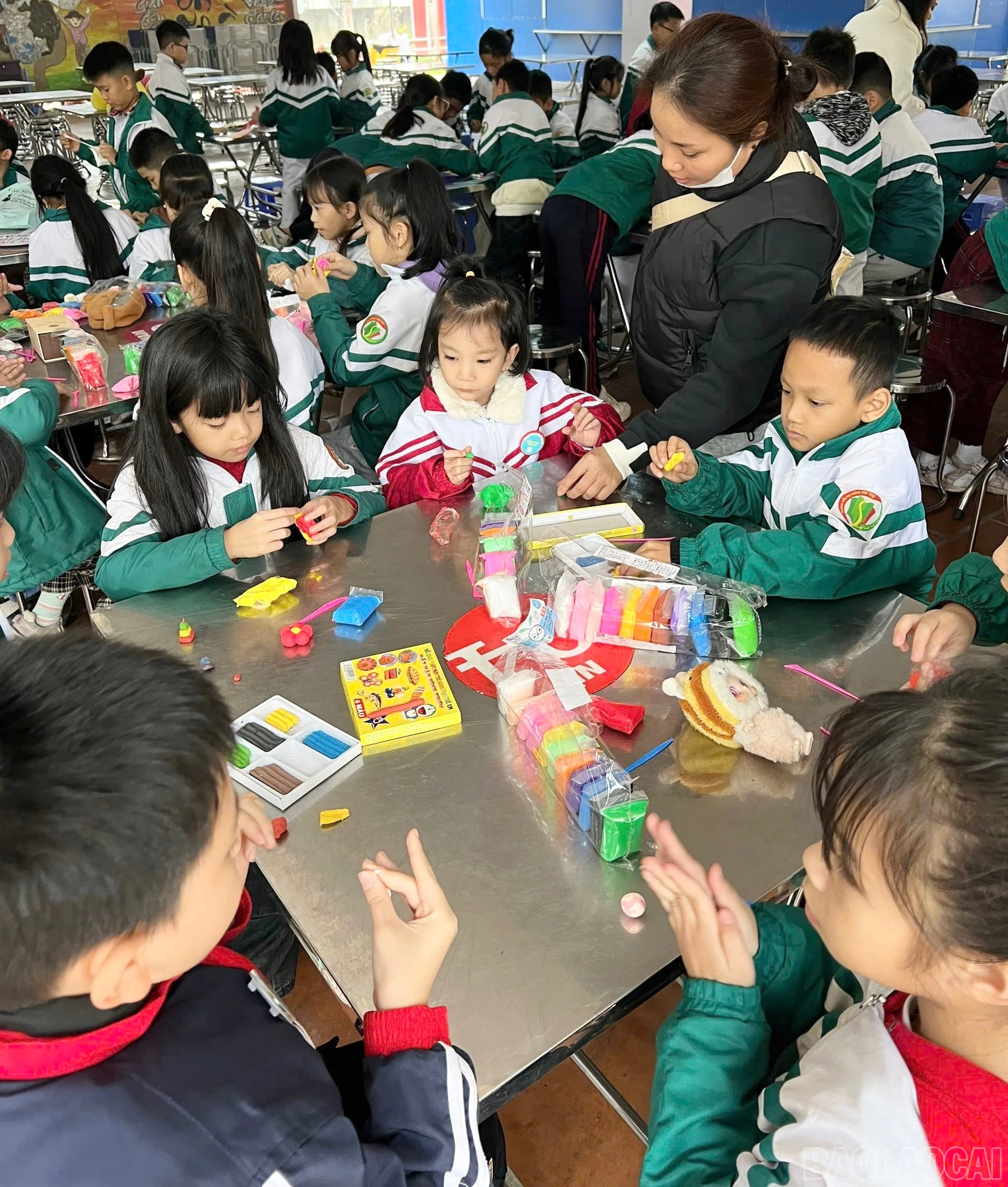 baolaocai-br_186c377b-550f-4e03-9fa5-c60a2a7b708e.jpg