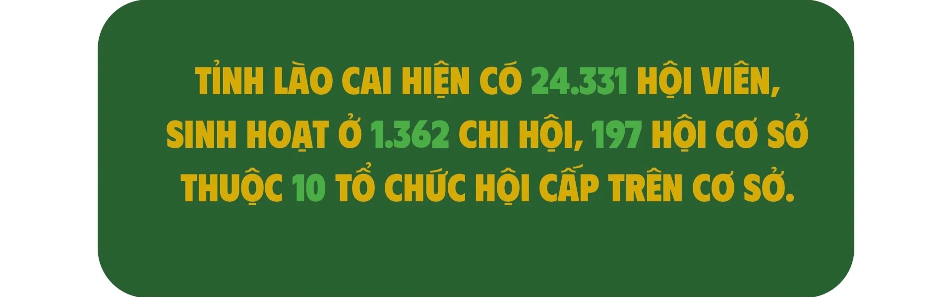8c4f4fd7-ca9f-45f7-b8c0-56ad884044ad.jpg