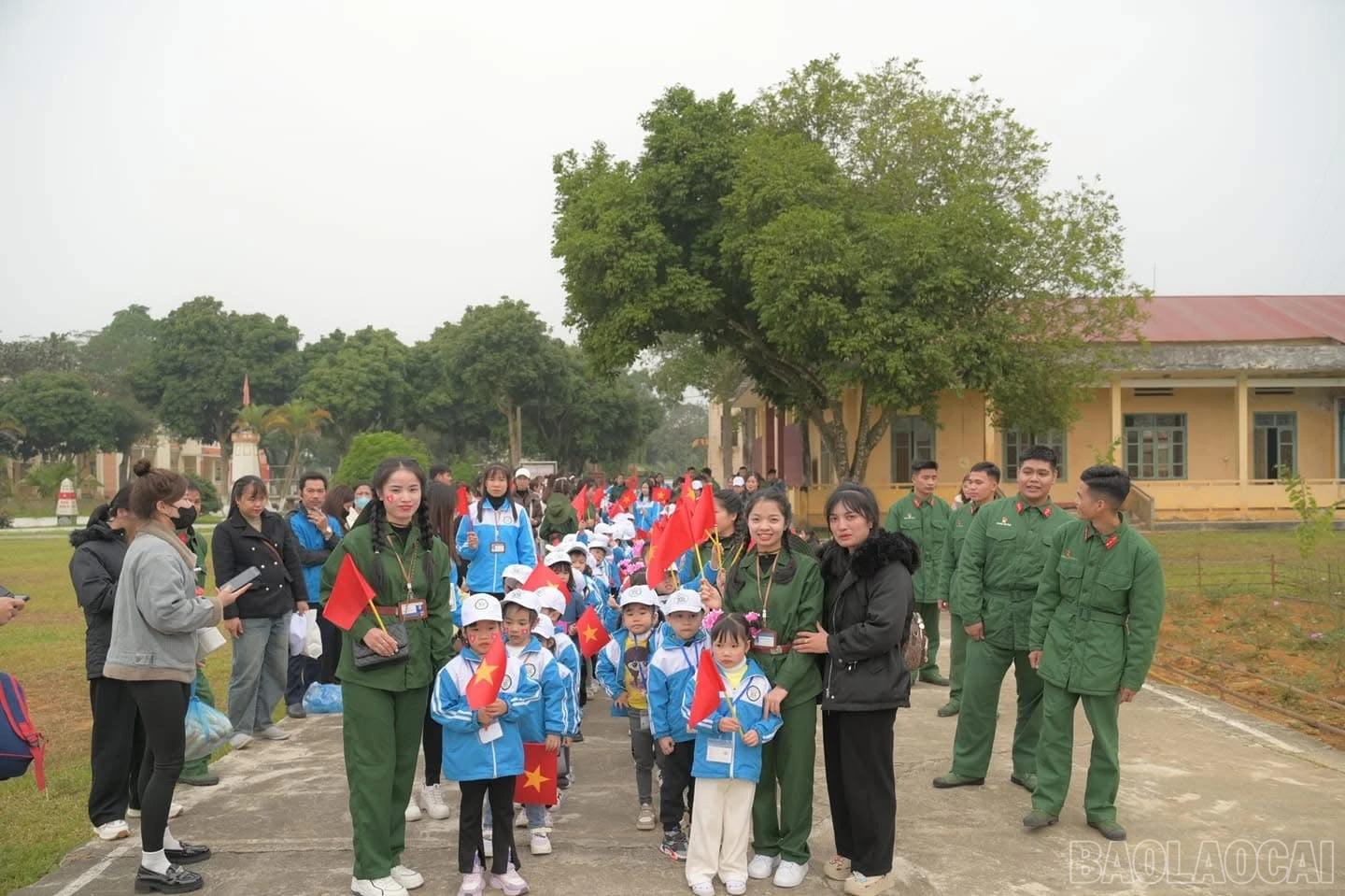 baolaocai-br_f1797a4e-c5af-4e8b-9e30-a694a68aef93.jpg