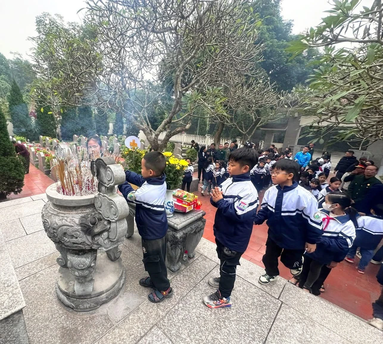 baolaocai-br_dc12498b-a039-4291-b354-8d3c1ef9b7b8.jpg