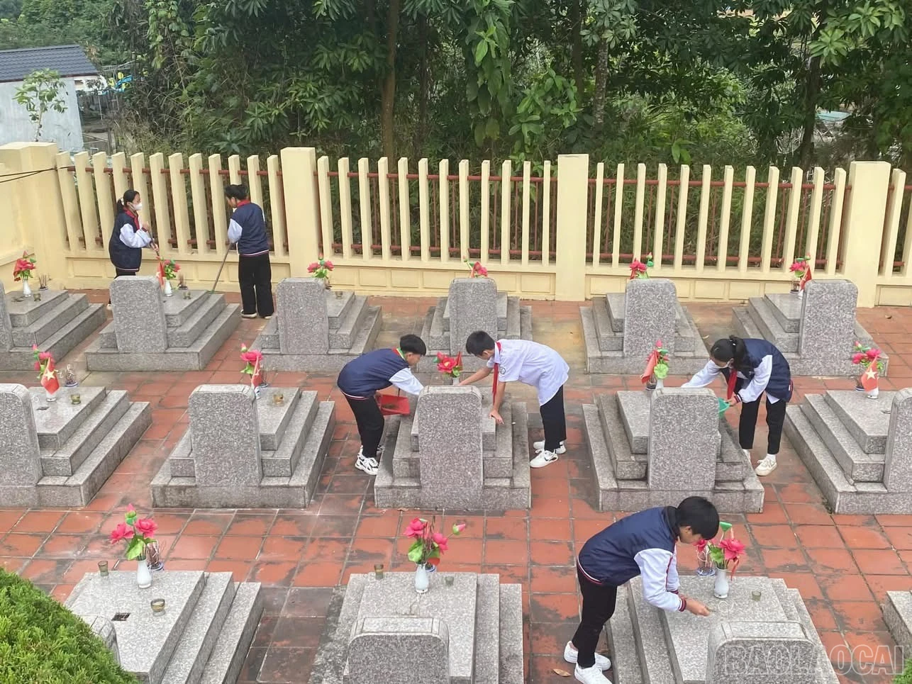 baolaocai-br_fb9f60bc-e108-4a23-a640-3f0957357666.jpg