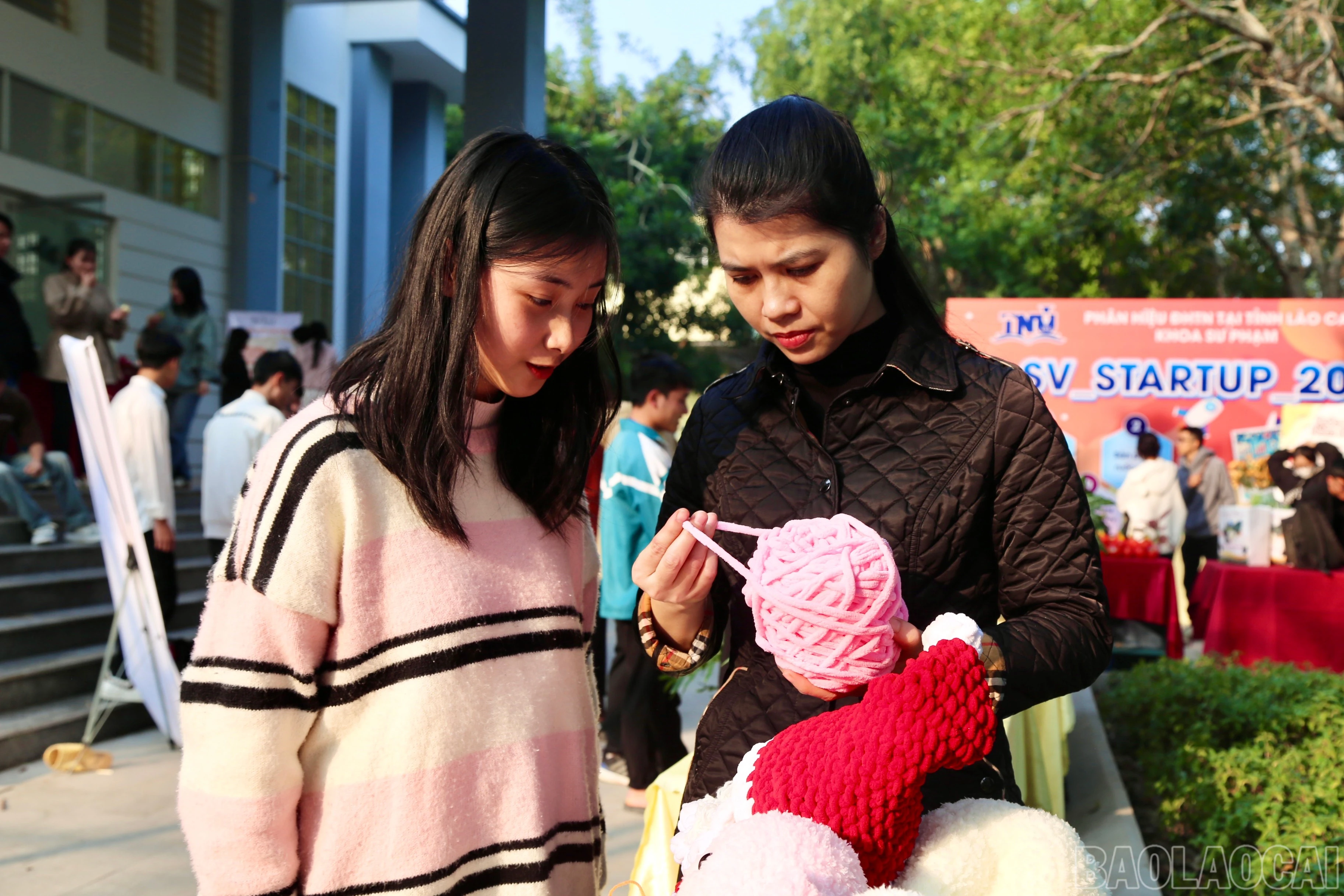 baolaocai-br_7d06384a-44cf-453e-b442-ca4d2cd69052.jpg