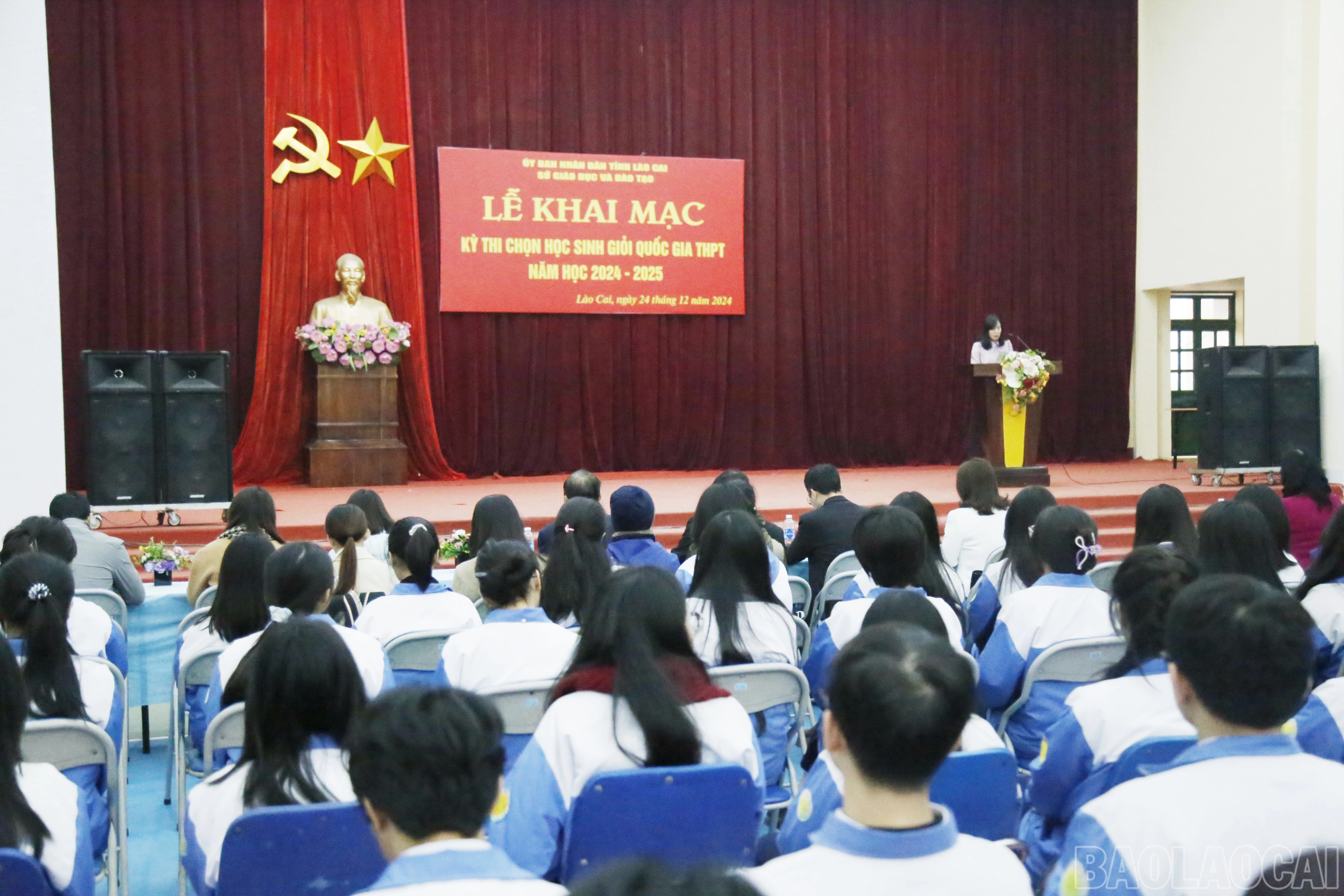 baolaocai-br_93a67bb0-96a1-42a6-ae23-8c0a3838ec0a.jpg