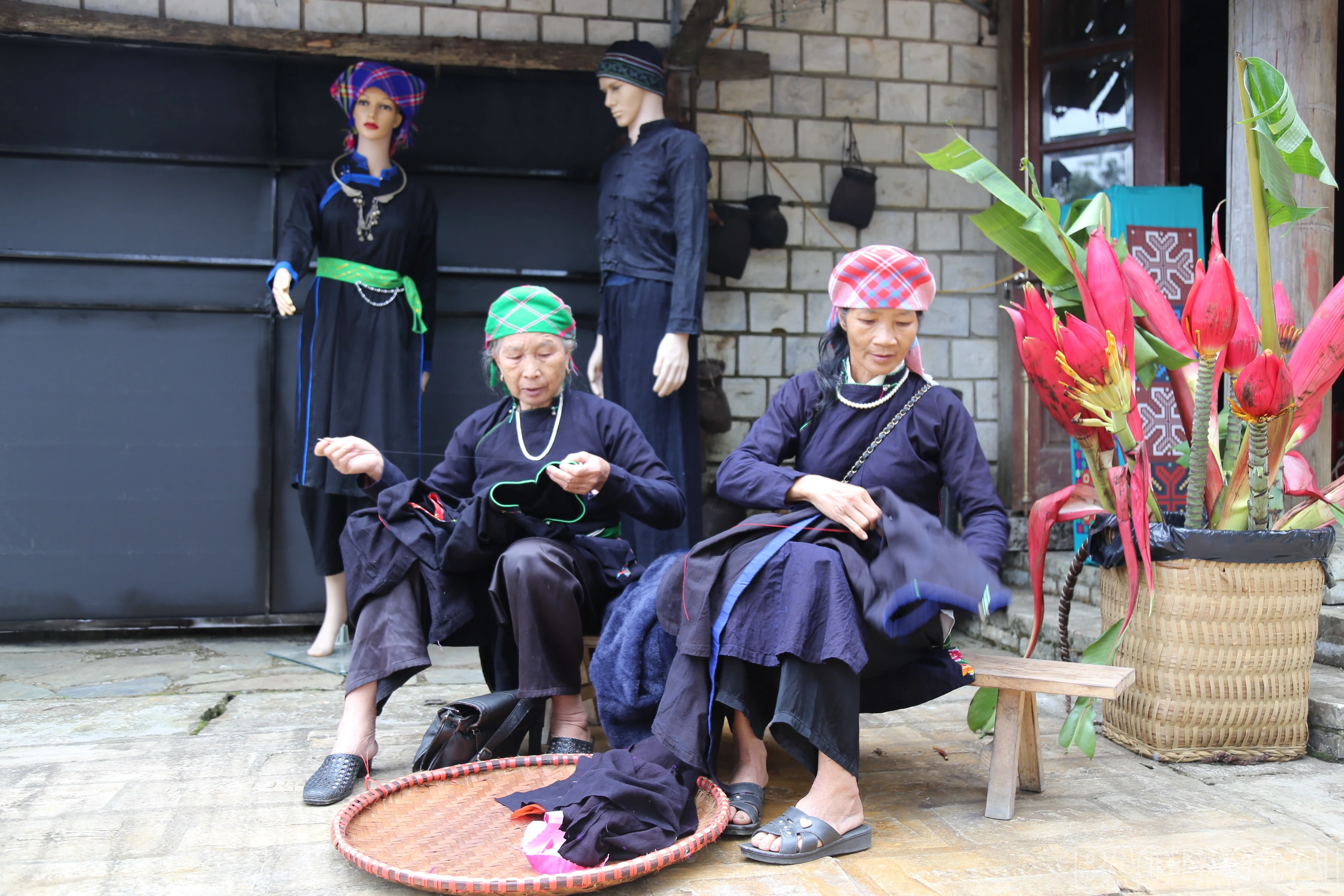 baolaocai-br_30f2eead-3efe-48bf-887c-31d407facf80.jpg