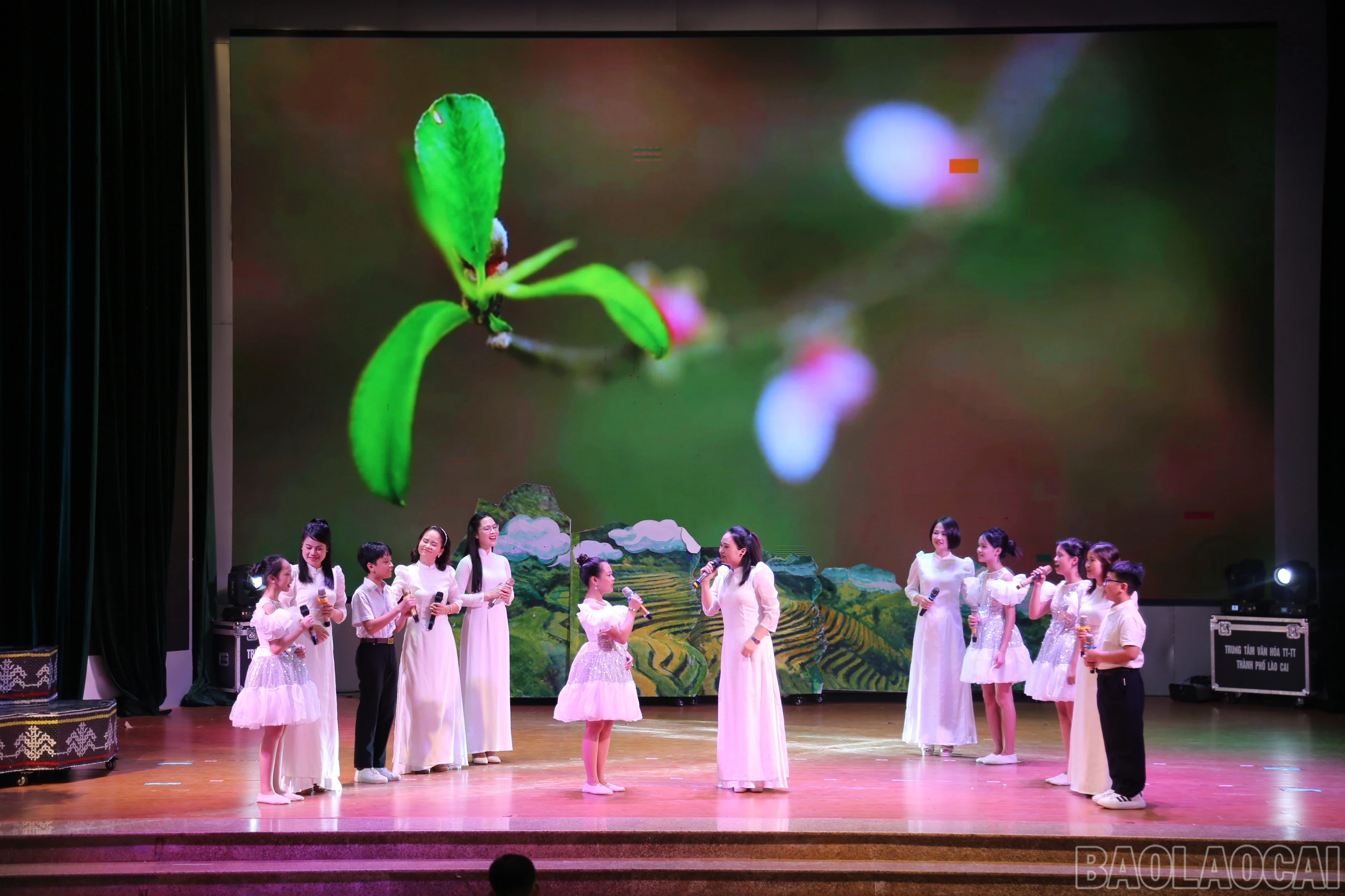 baolaocai-br_588250ac-5001-47cb-90f3-f78cf5aef7c5.jpg