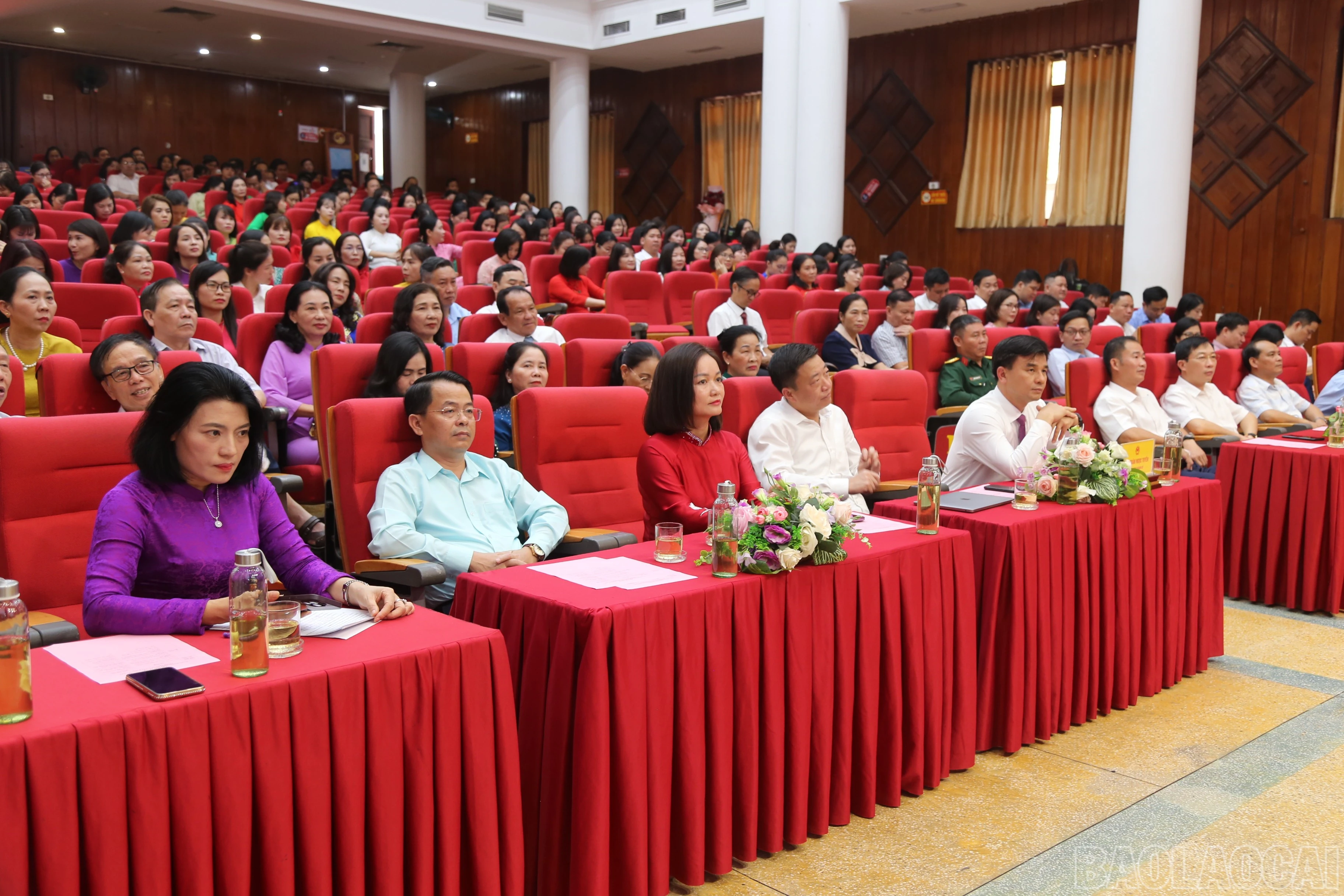 baolaocai-br_0e98197a-583a-4cb5-ad8e-528090c09b3e.jpg