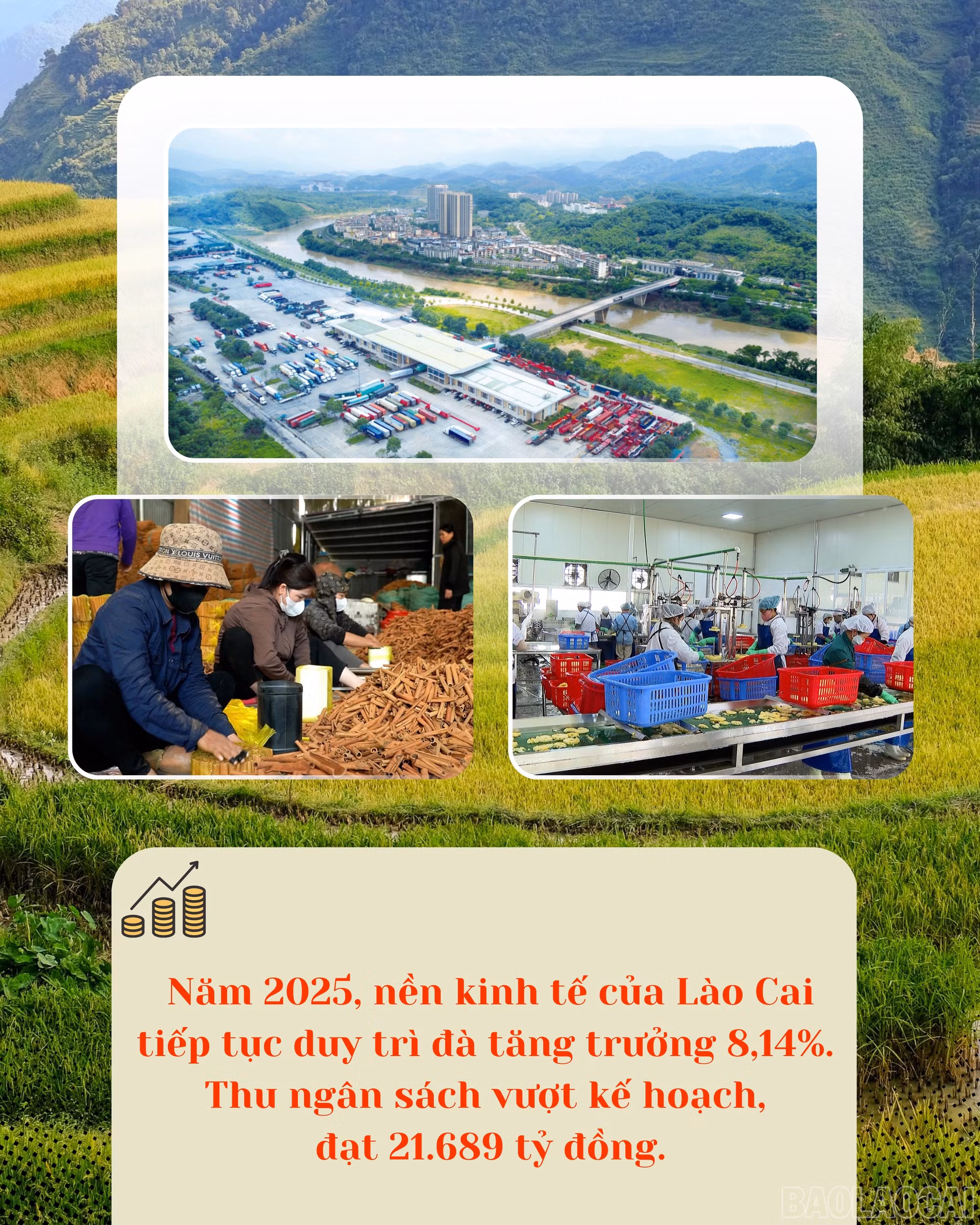baolaocai-br_green-white-modern-organic-farming-instagram-post-1.jpg