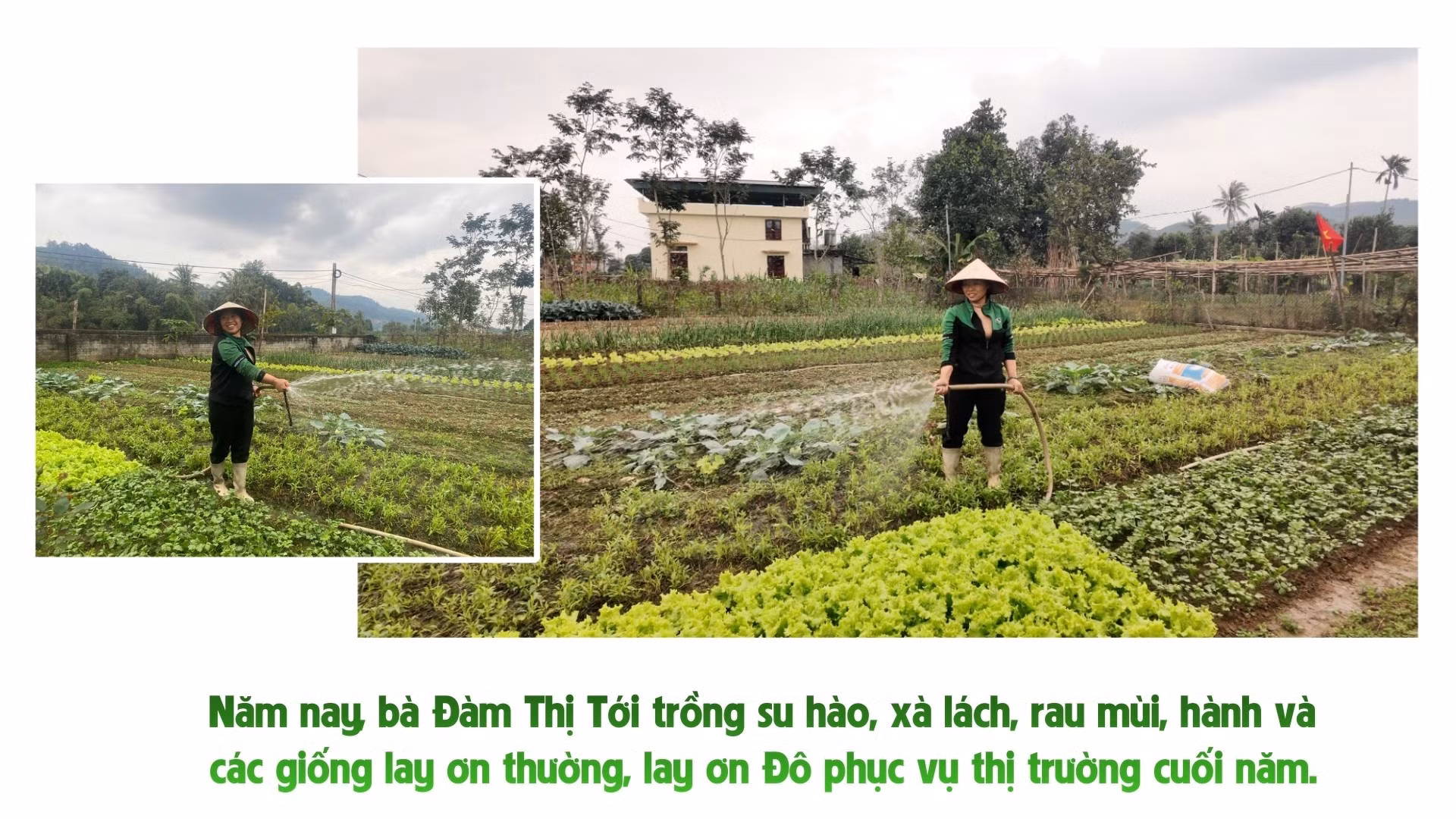 nhung-bai-boi-cho-24.jpg