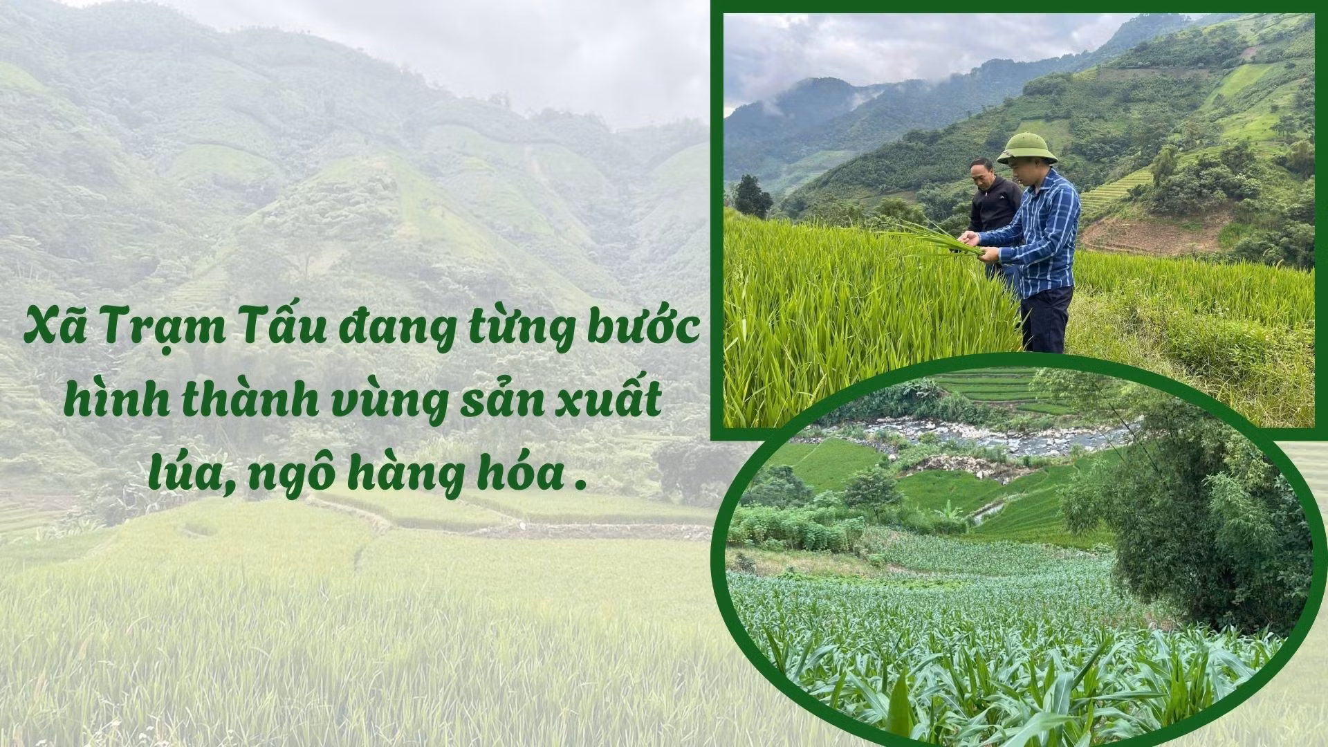 white-green-modern-agricultural-land-management-facebook-post-1920-x-1080-px.jpg