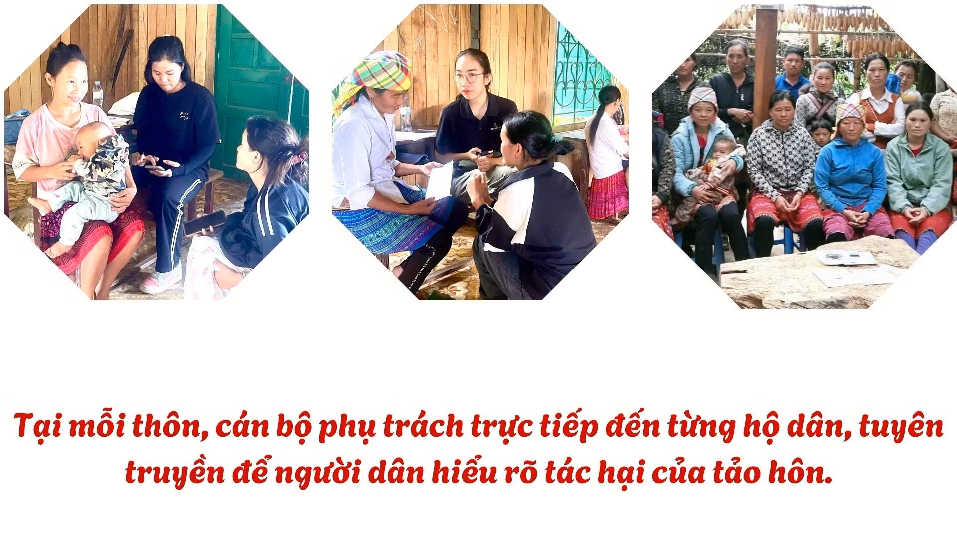 green-and-white-simple-environmental-care-presentation-1920-x-1080-px.jpg