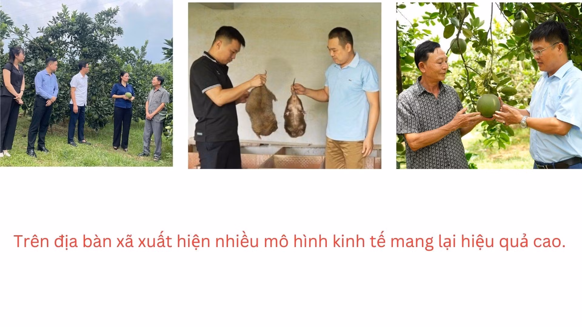 nen-do-bong-cau-noi-hay-ve-ky-niem-anh-ghep-nghe-thuat-1920-x-1080-px.jpg