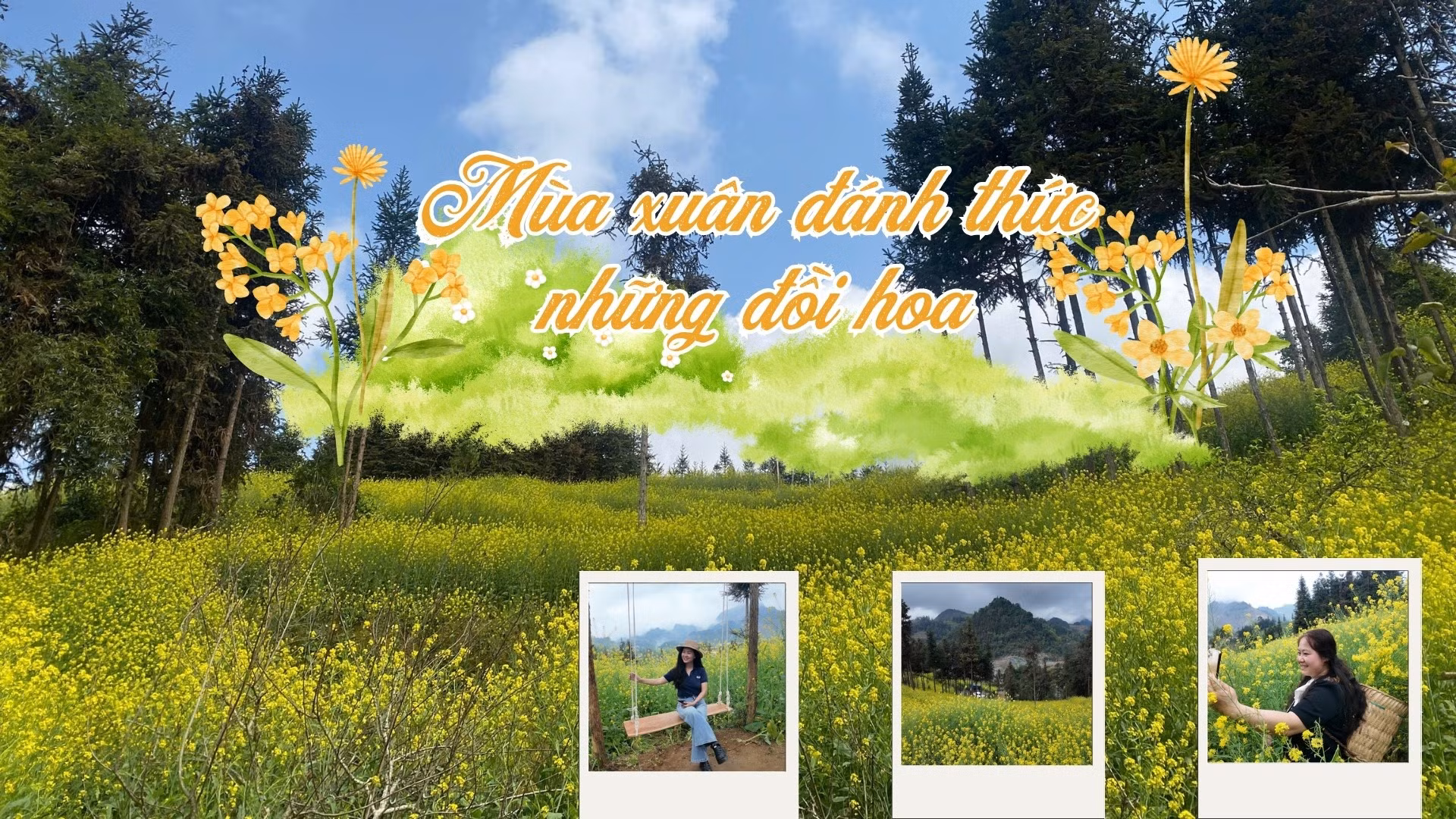Mùa xuân đánh thức những đồi hoa