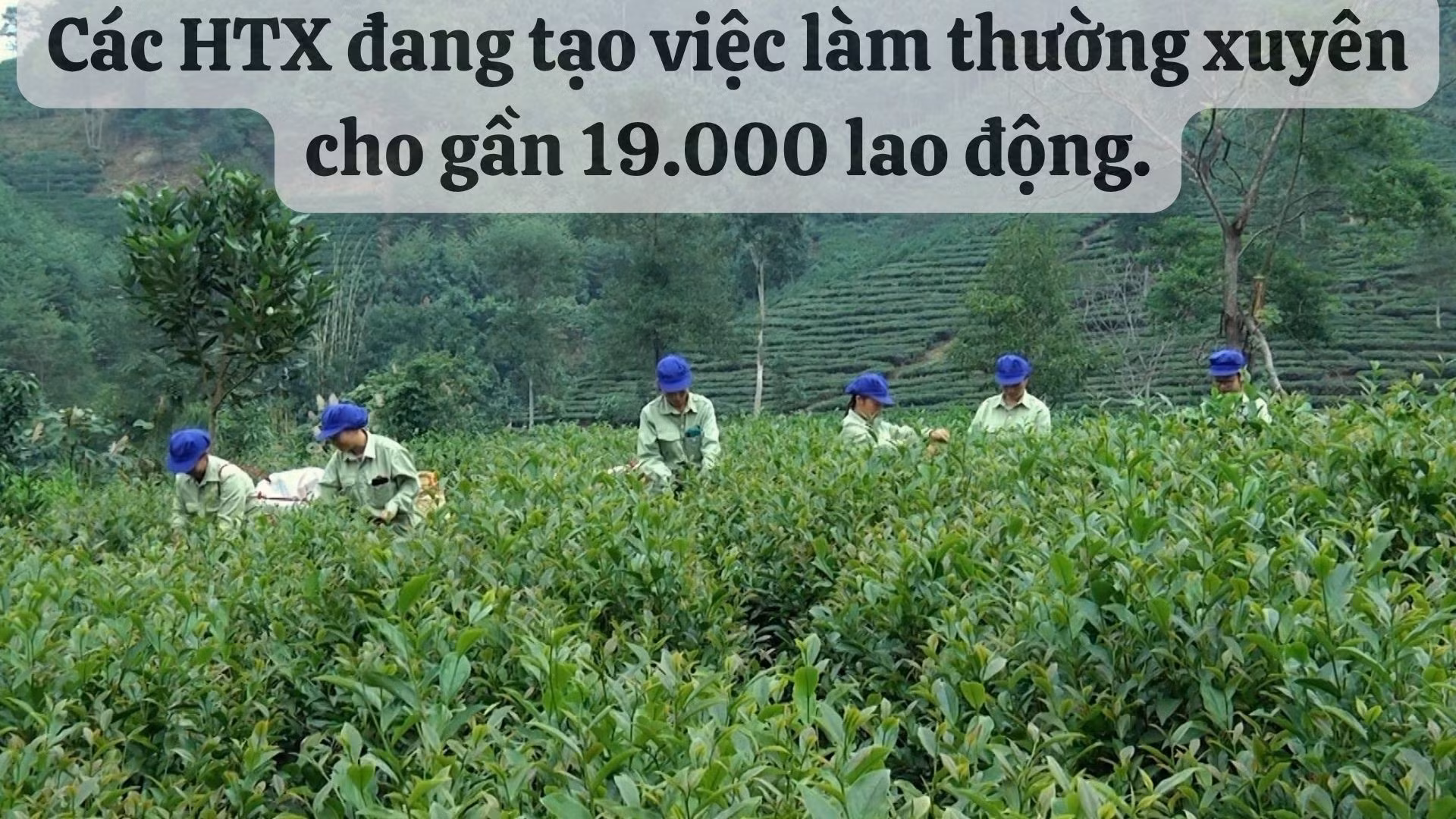 che.jpg