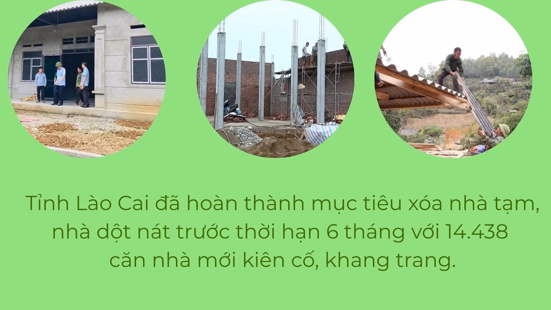 trang-4.jpg