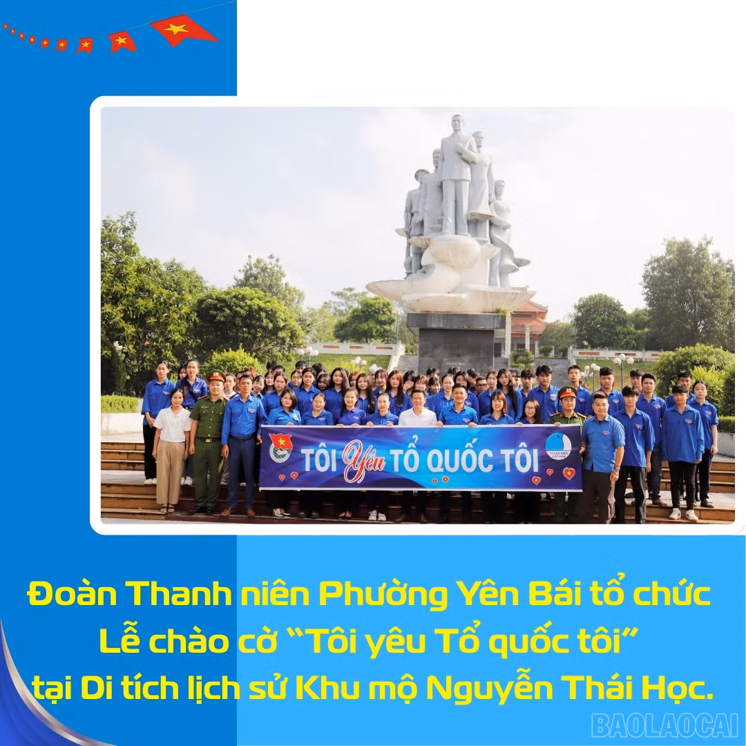 baolaocai-br_3.png