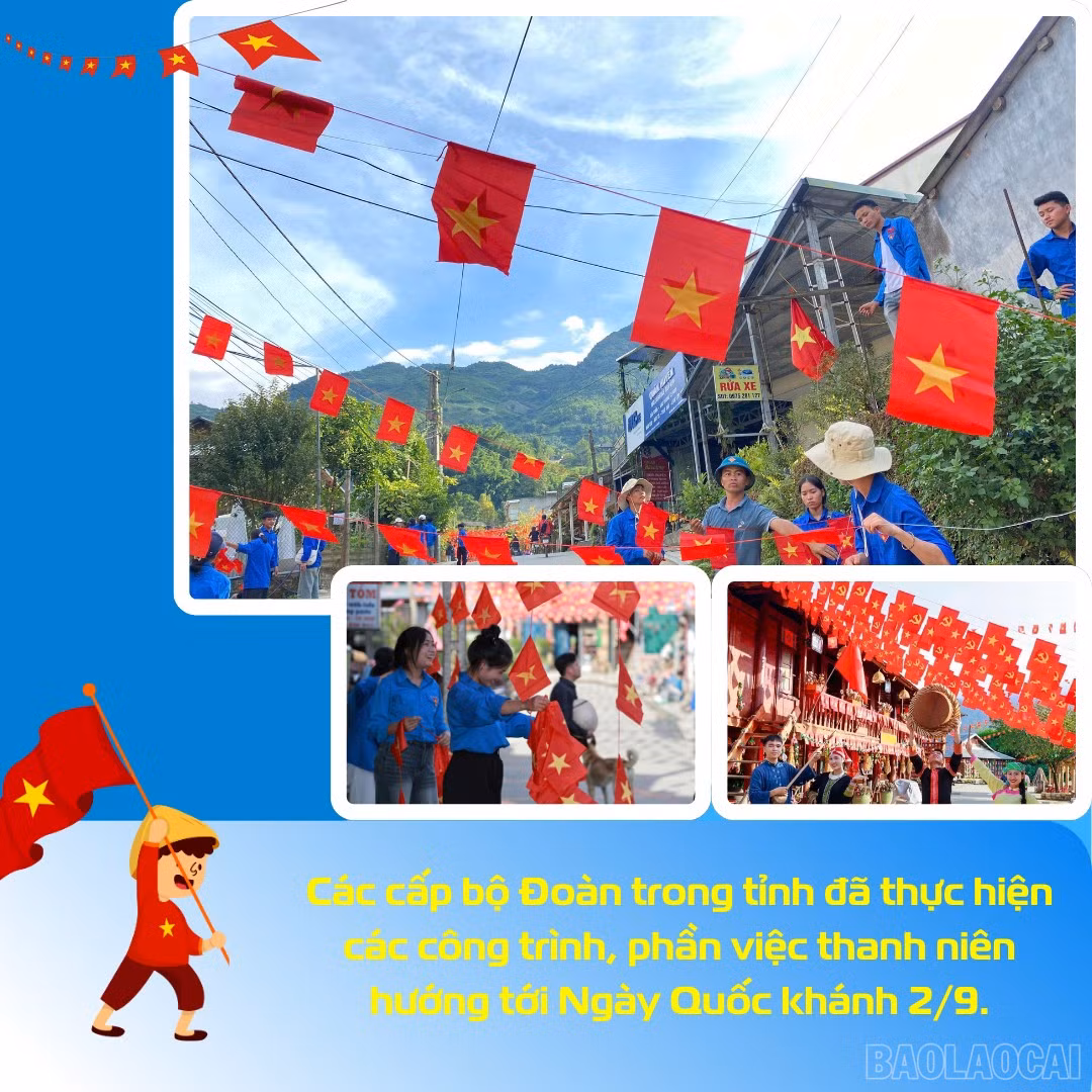 baolaocai-br_4.png