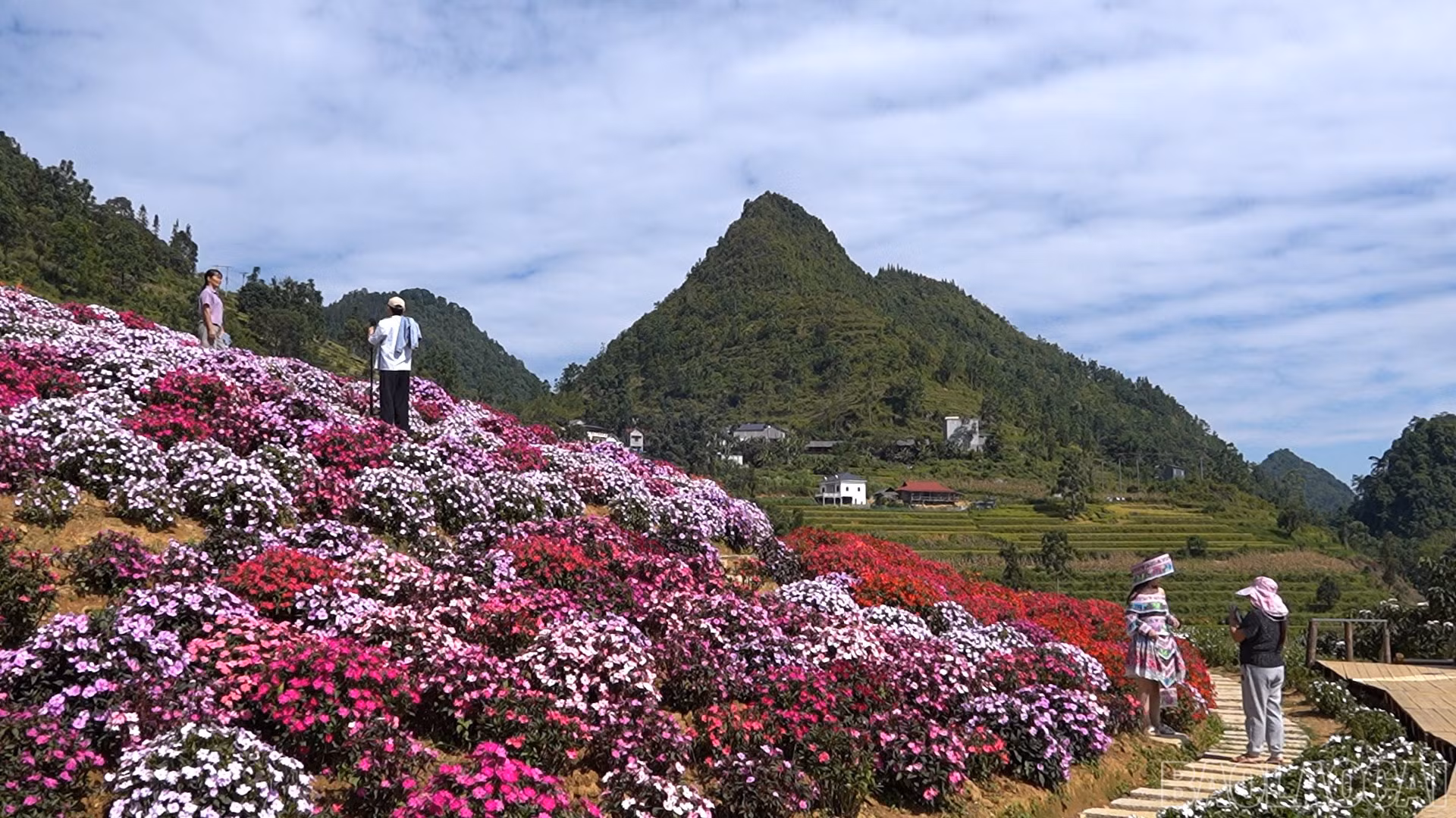 baolaocai-br_dung-ps01-29-53-22still778.jpg